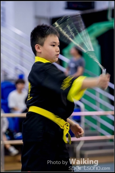2017-04-16 Wushu 0253