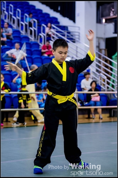 2017-04-16 Wushu 0256