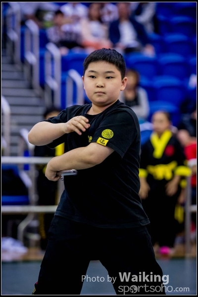 2017-04-16 Wushu 0258