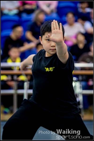 2017-04-16 Wushu 0259