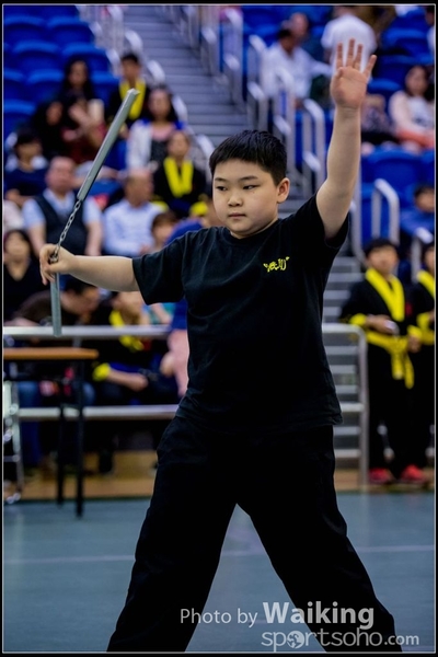 2017-04-16 Wushu 0262