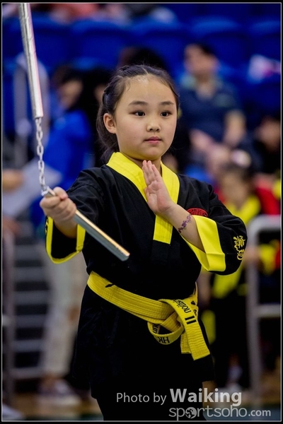2017-04-16 Wushu 0264