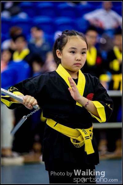 2017-04-16 Wushu 0265