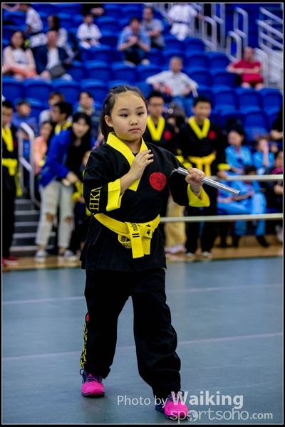 2017-04-16 Wushu 0266