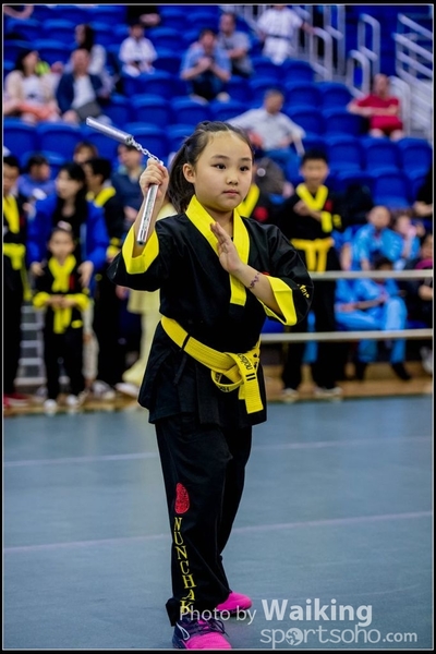 2017-04-16 Wushu 0267