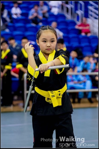 2017-04-16 Wushu 0268