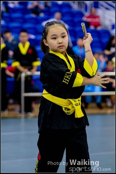 2017-04-16 Wushu 0269