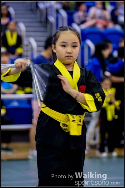 2017-04-16 Wushu 0270