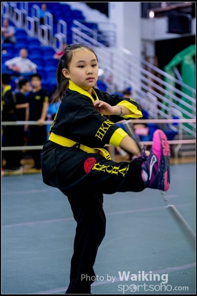 2017-04-16 Wushu 0271