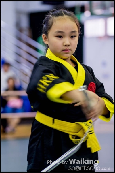 2017-04-16 Wushu 0272
