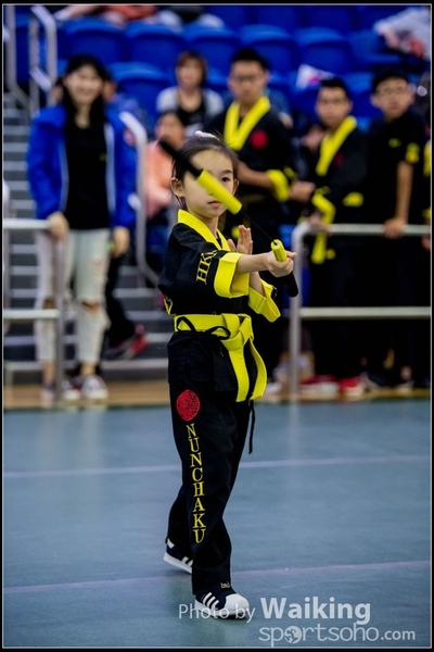 2017-04-16 Wushu 0273