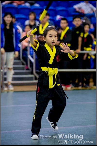 2017-04-16 Wushu 0274