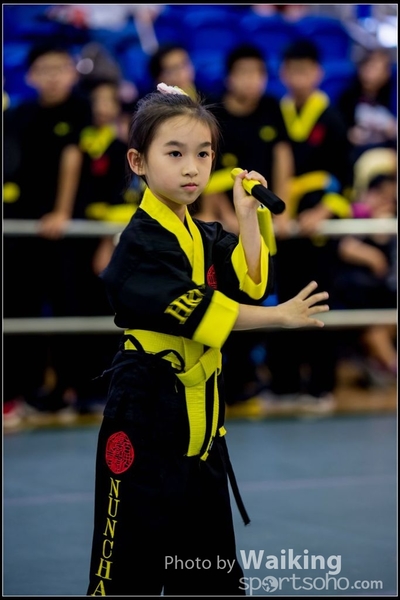 2017-04-16 Wushu 0277
