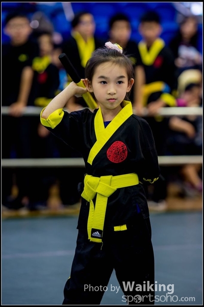 2017-04-16 Wushu 0278