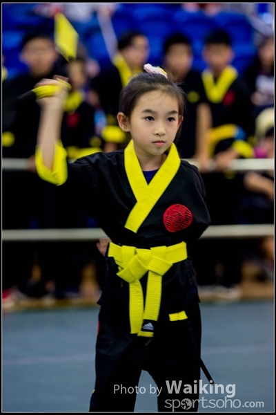 2017-04-16 Wushu 0279