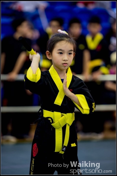 2017-04-16 Wushu 0280