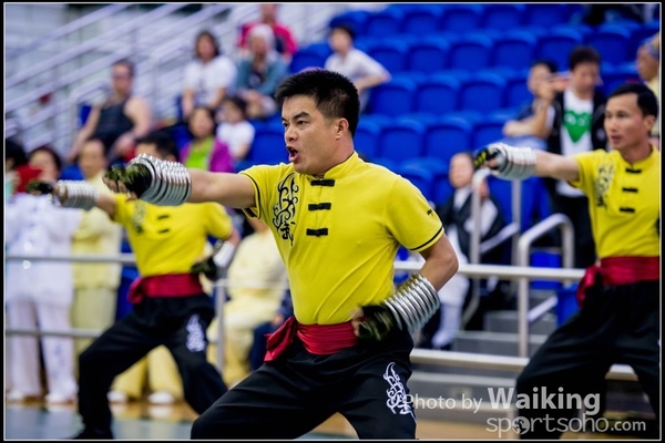 2017-04-16 Wushu 0332