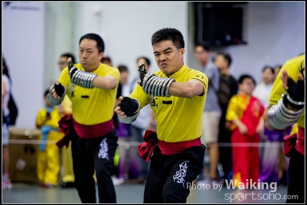 2017-04-16 Wushu 0339