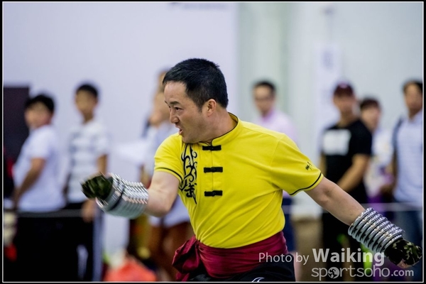 2017-04-16 Wushu 0342
