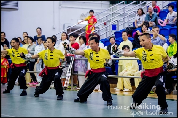 2017-04-16 Wushu 0343
