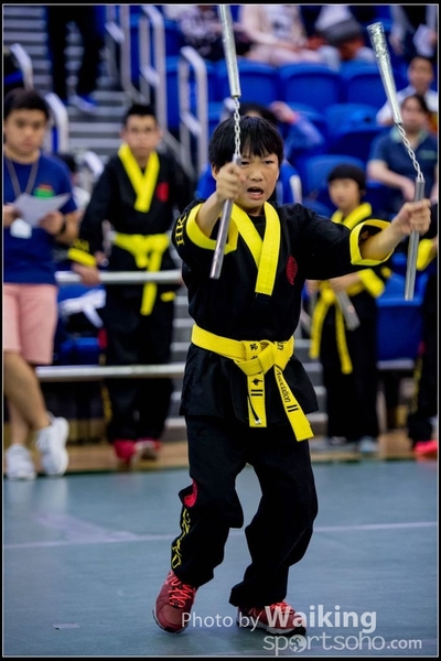 2017-04-16 Wushu 0349