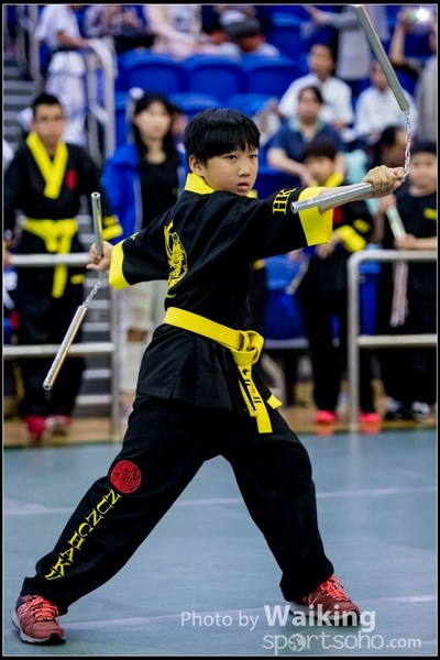 2017-04-16 Wushu 0350