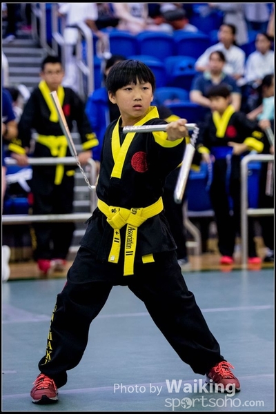 2017-04-16 Wushu 0351