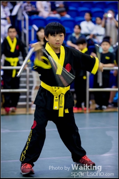 2017-04-16 Wushu 0352