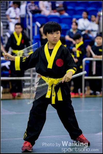 2017-04-16 Wushu 0353