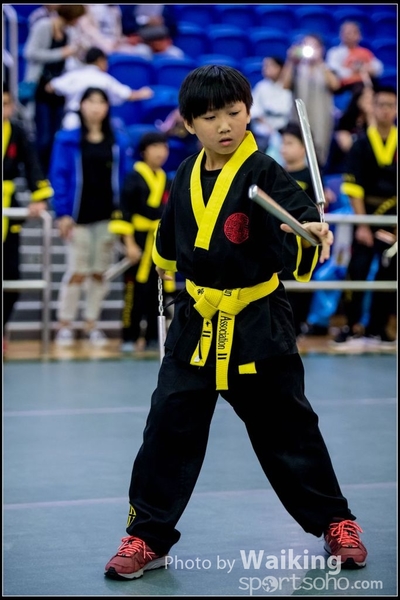 2017-04-16 Wushu 0354