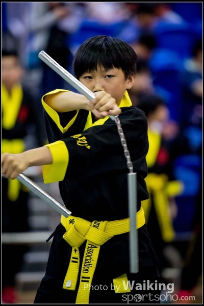 2017-04-16 Wushu 0355