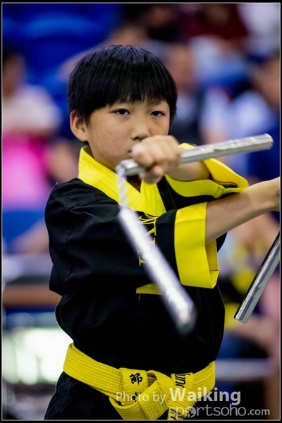 2017-04-16 Wushu 0356
