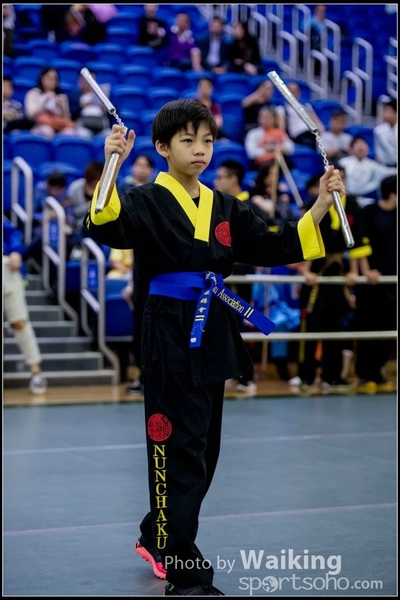 2017-04-16 Wushu 0363