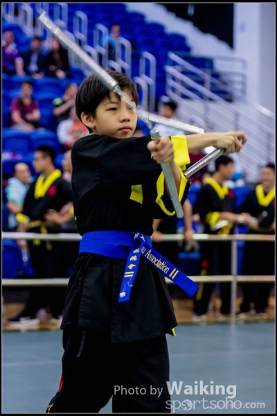 2017-04-16 Wushu 0364