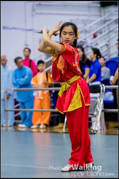 2017-04-16 Wushu 0378