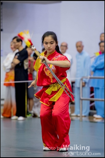 2017-04-16 Wushu 0384