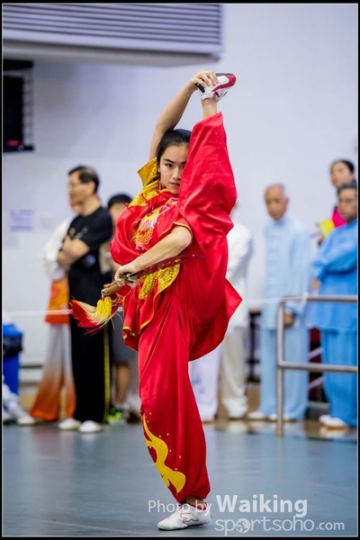 2017-04-16 Wushu 0385