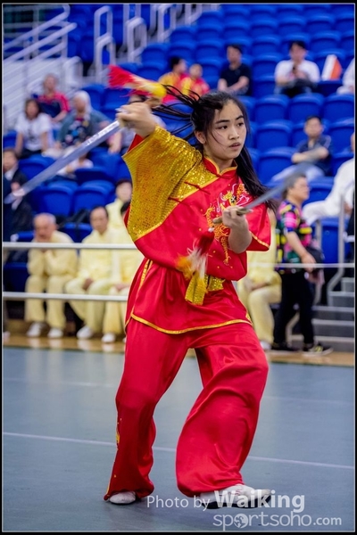 2017-04-16 Wushu 0388