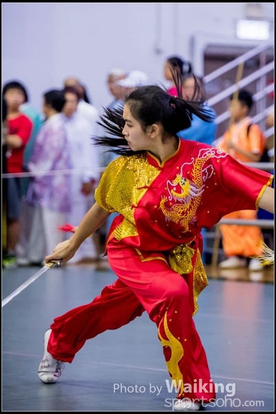 2017-04-16 Wushu 0395