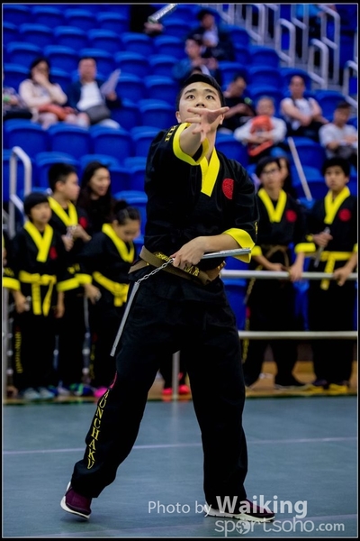 2017-04-16 Wushu 0409
