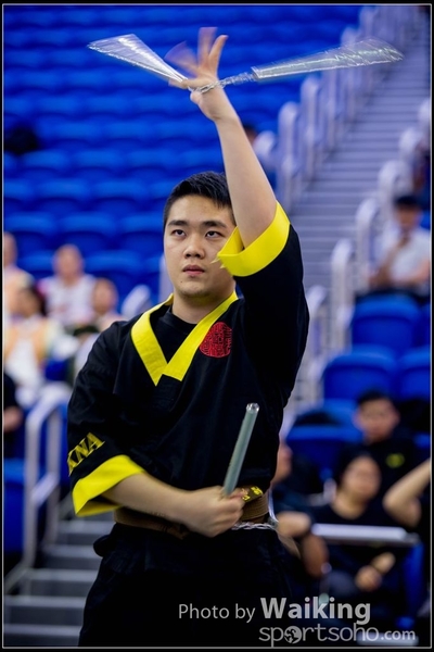 2017-04-16 Wushu 0414