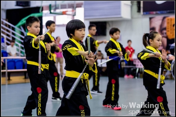 2017-04-16 Wushu 0416