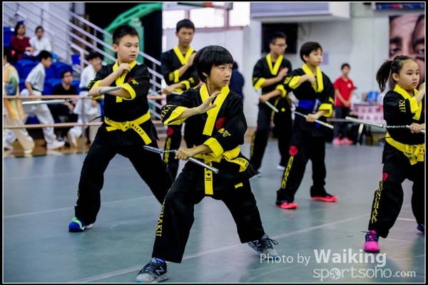 2017-04-16 Wushu 0417