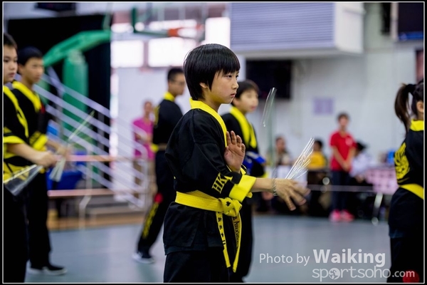 2017-04-16 Wushu 0419