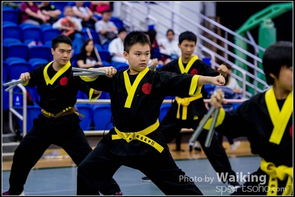 2017-04-16 Wushu 0420