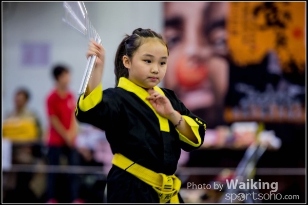 2017-04-16 Wushu 0422