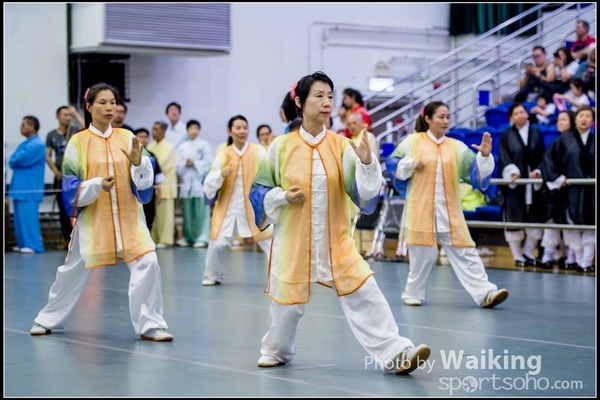 2017-04-16 Wushu 0429