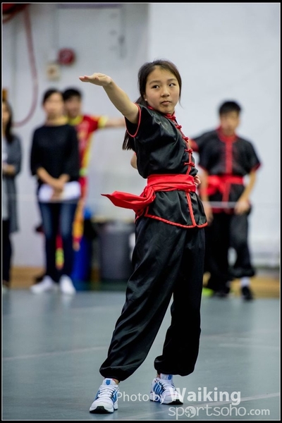 2017-04-16 Wushu 0432