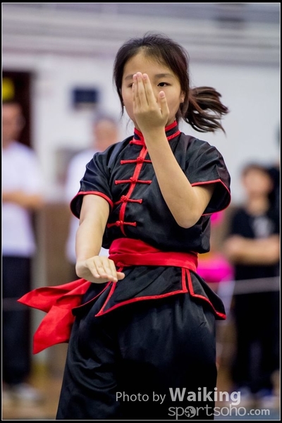 2017-04-16 Wushu 0438