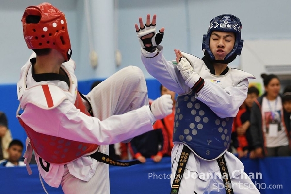 Taekwondo  (11)
